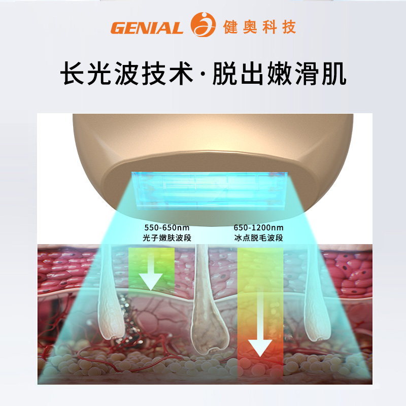 強(qiáng)脈沖光治療儀-脫毛儀